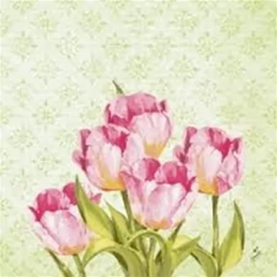 Love tulip